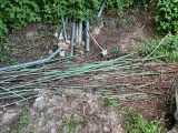 pipe of steel and rebar - coated and non coated