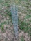 tomato stakes / cages (6) per bundle