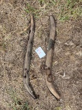 two wood antique horse / mule hames for harness