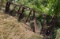 tilling tool 3 point