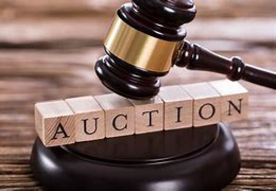 Welcome to the Auction