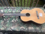Acoustic guitar