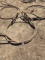 (3) 1 1/2 slings , chokers one money 11241 42,000% LBS 32,000 | 34,000