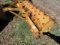 Aerator three point hitch