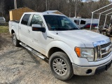 2010 Ford F150