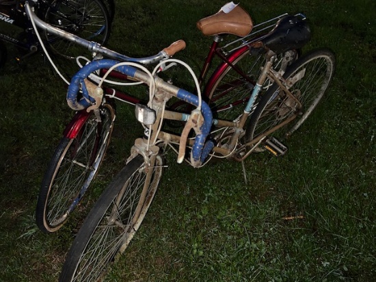 (2) adult bikes