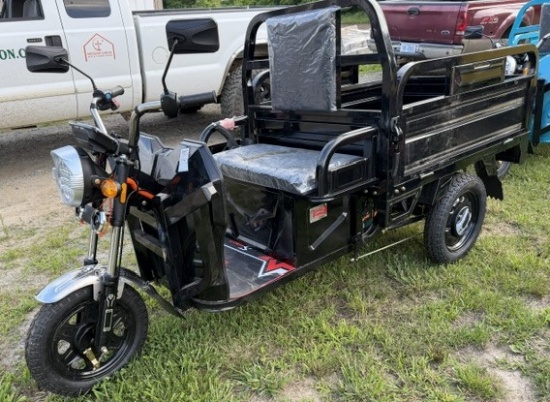 Electric Tricycle ET13 - NEW