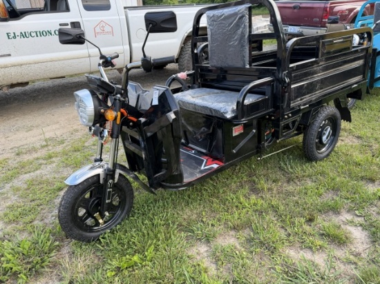 Electric Tricycle ET13 - NEW