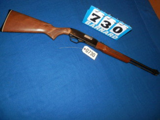 Winchester Model 290-22 Long or Long Rifle