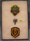 Collection of foreign police badges and patch
