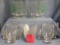 Box full of vintage estate glassware