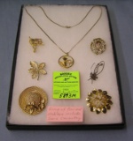 Group of costume jewelry pins and necklace