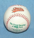 Long Island Ducks baseball team baseball