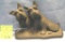 Early cast iron Scottie dogs door stop