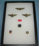 Collection of pins and wings includes TWA and others