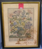 Early floral print in antique frame