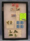 Group of vintage mint US postage stamps