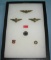 Collection of pins and wings includes TWA and others