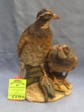 Vintage hand painted high quality bird figurine
