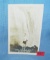 Man over Niagara Falls in a rubber ball post card