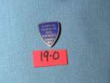 American Society of Civil Engineers badge