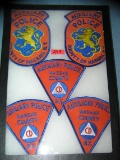 Collection of vintage police patches