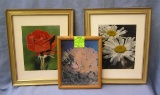 Group of three matted and framed prints