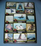 Collection of vintage Jaws nonsports cards