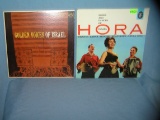 Pair of vintage record albums