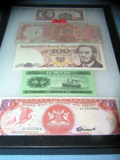 Collection of world currency