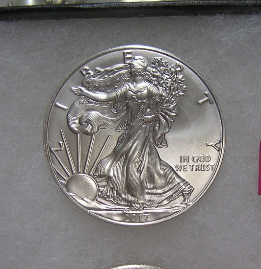 Walking Lady Liberty 1 troy ounce silver coin