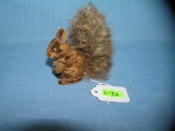 Antique squireel with pine cones made with real fur