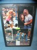 Collection of WWF original photos collector cards