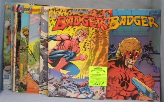 Large Group of vintage Badger comic books