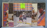 Box of vintage hockey programs