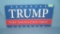 Trump  retro style license plate size sign