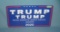 Trump  retro style license plate size sign