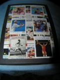 Collection of US Olympic collector cards