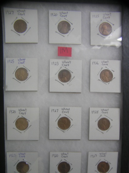 Collection of early Lincoln wheat back pennies