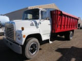 1979 Ford L800 Grain Truck