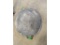 2 Outrigger Pads