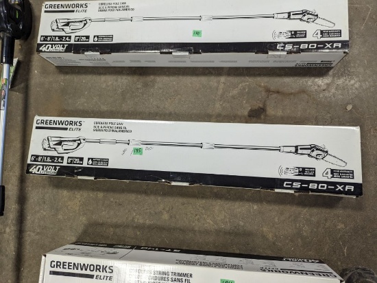 NEW Greenworks Electric Pole Saw
