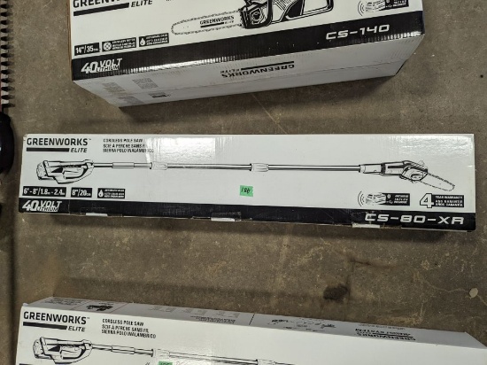 NEW Greenworks Electric Pole Saw