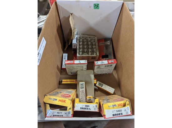 NGK & Champion Spark Plugs