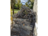 Lot of Chicken Wire