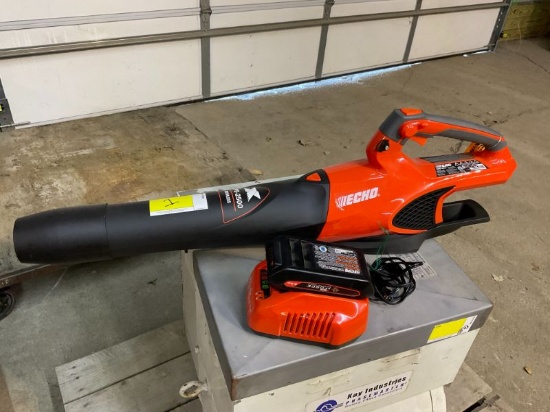 Echo DPB-2500 Battery Leaf Blower