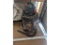 shop vac 10 Gallon