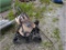 2 Fans, Reel Mower