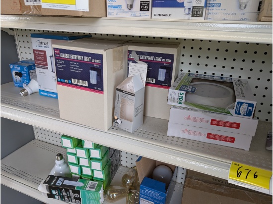 LED Fixtures and Bulbs
