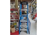 Werner 6' Fiberglass Stepladder